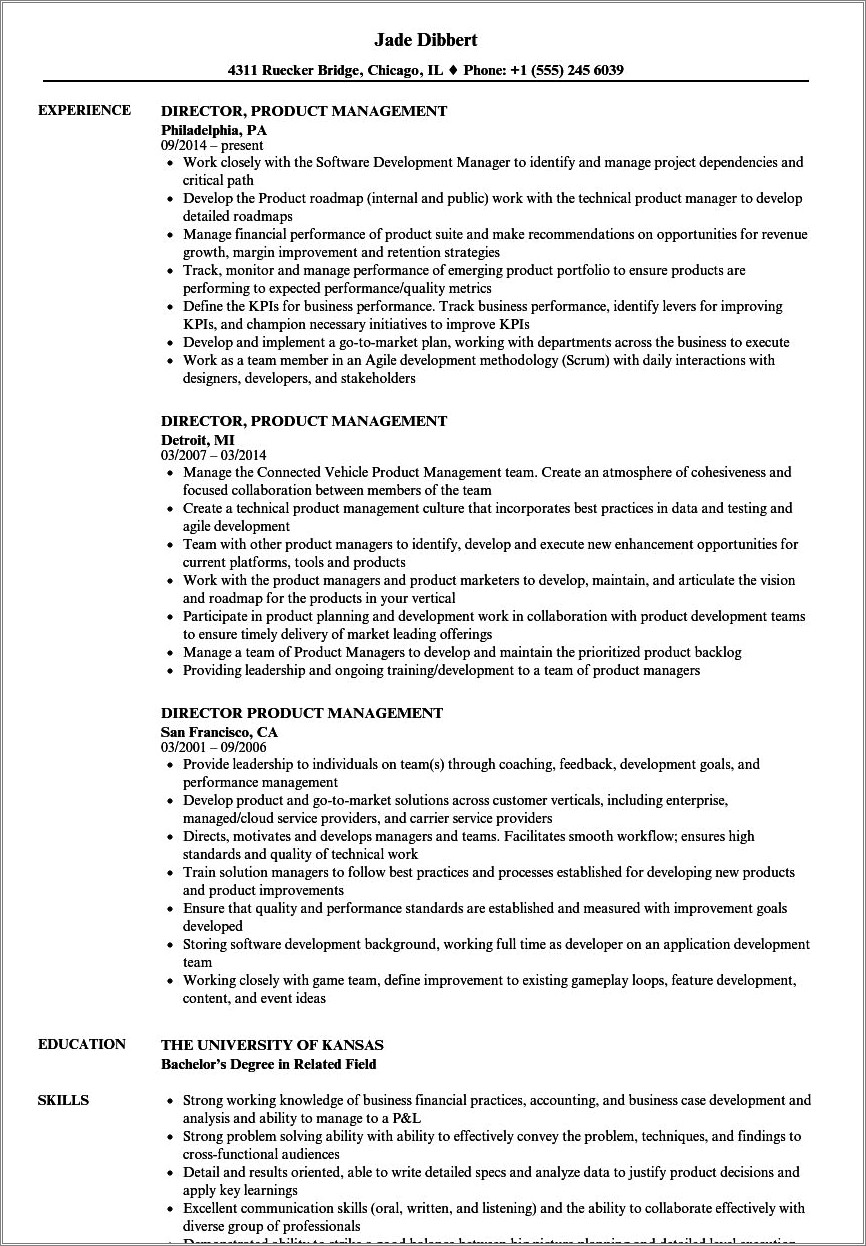 Sample Resume Product Director Position