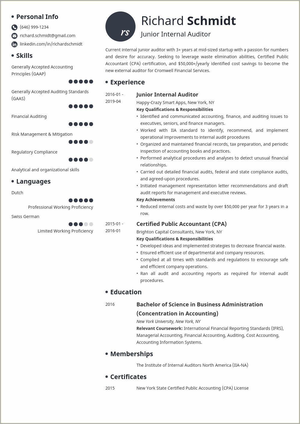Sample Resume Safety Audit Report Template