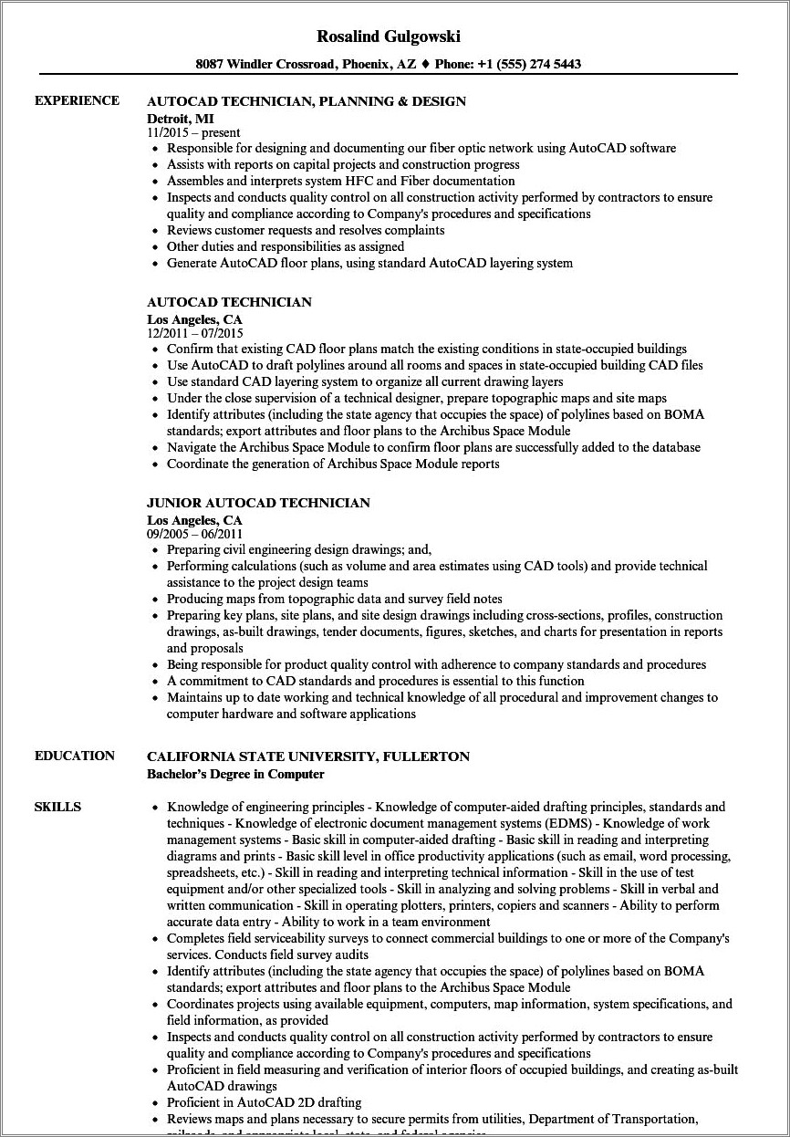Sample Resume Someone That Has Autocad Experience