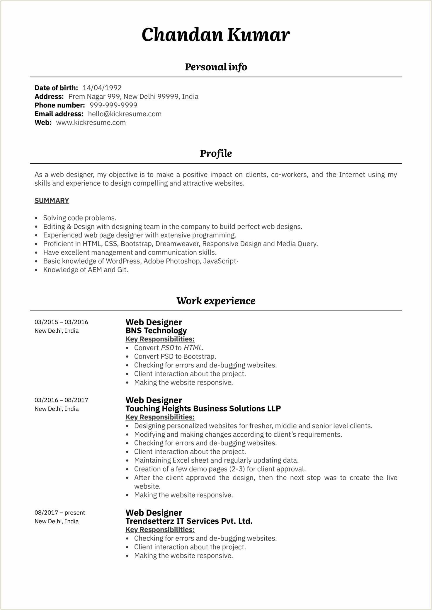Sample Resume Summary For Developer
