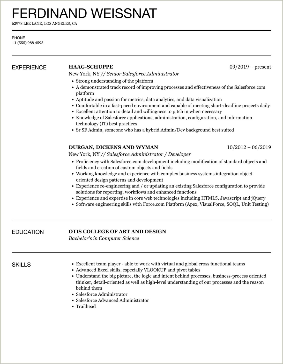 Sample Resume To Say I Have Use Salesforce