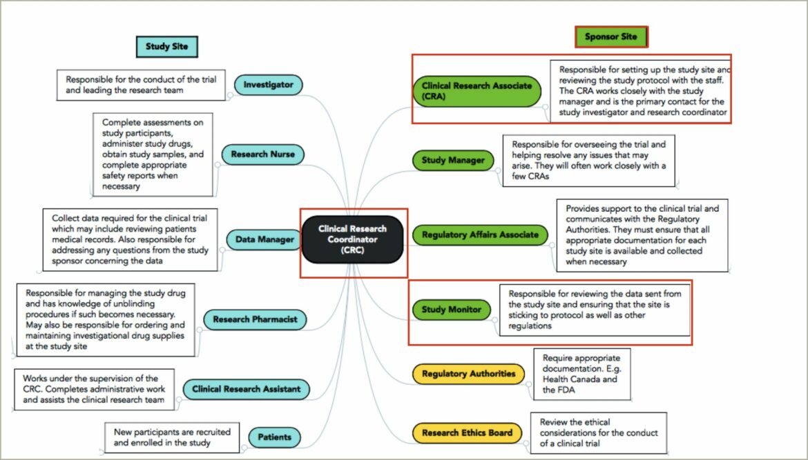 Sample Resume Unvieristy Of Florida Crc