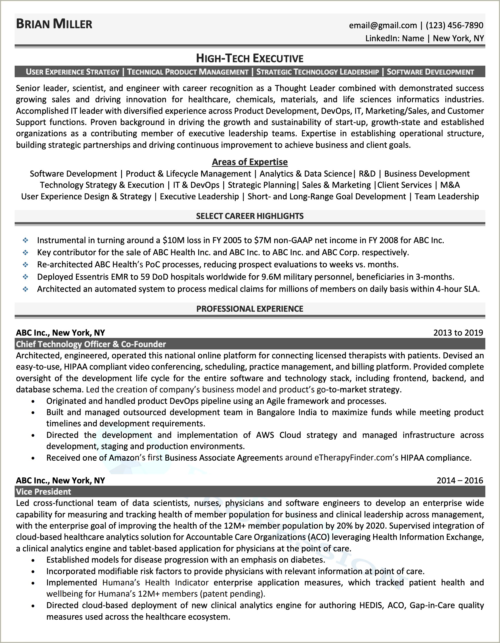 Sample Resume Vice President Of Operations