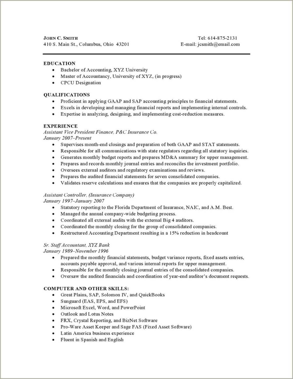 Sample Resume With Big 4 Experience