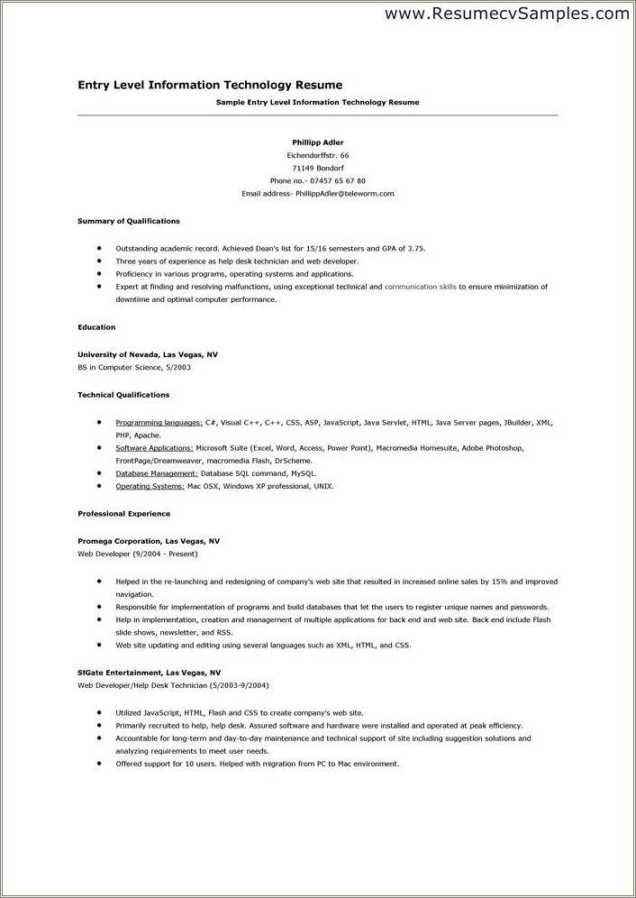 Sample Summary For Resume For Information Techonology