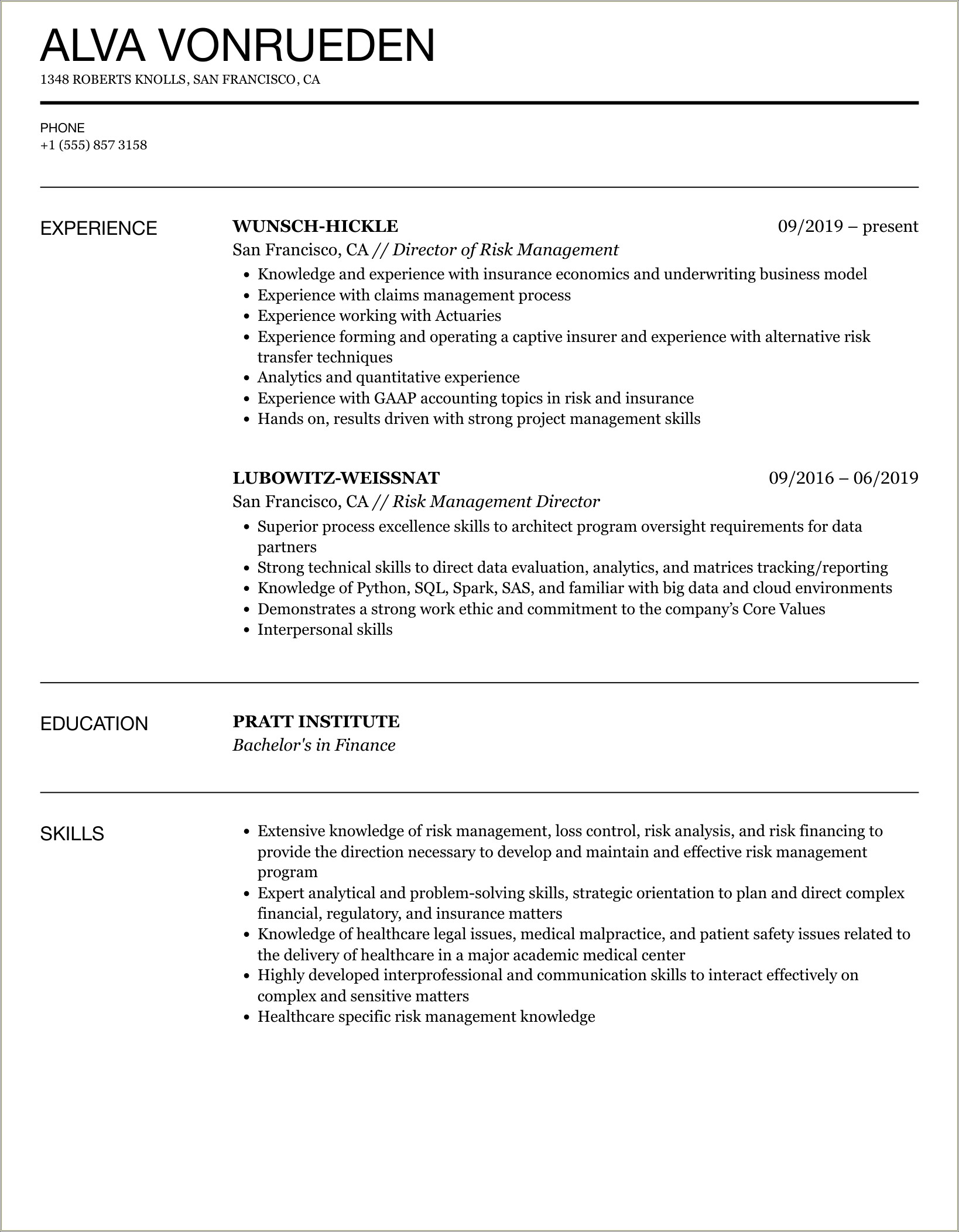 Sample Summary For Resume In Risk Management Job