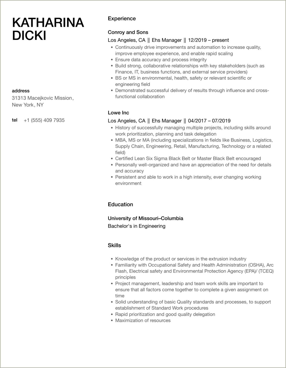 Samples Eh&s Corporate Manager Resume