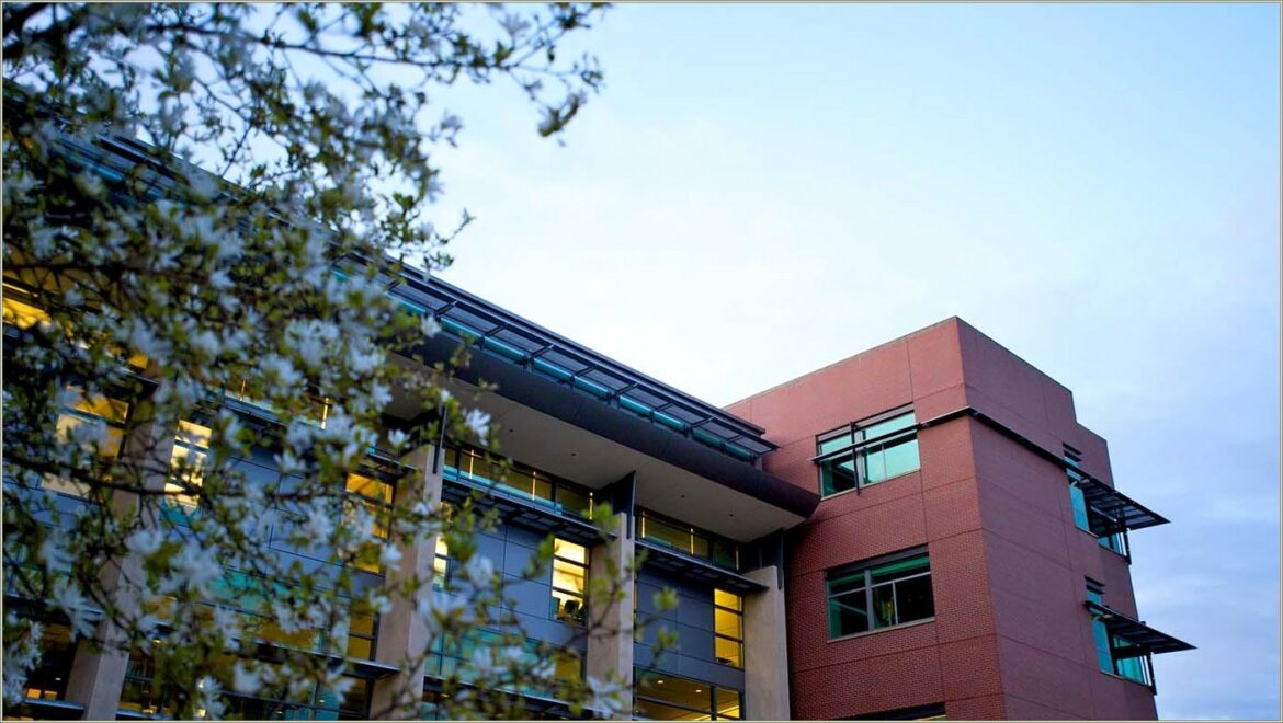 Seattle University School Of Law Resume
