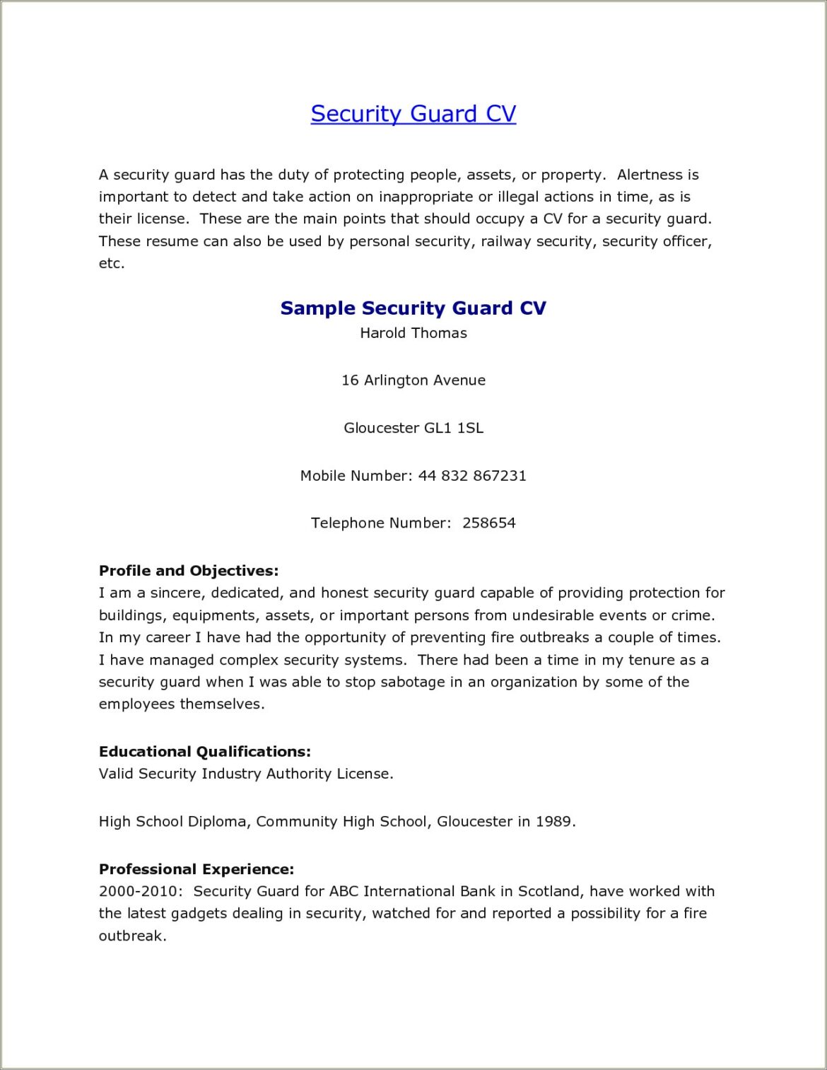 Security Officer Job Duties For Resume
