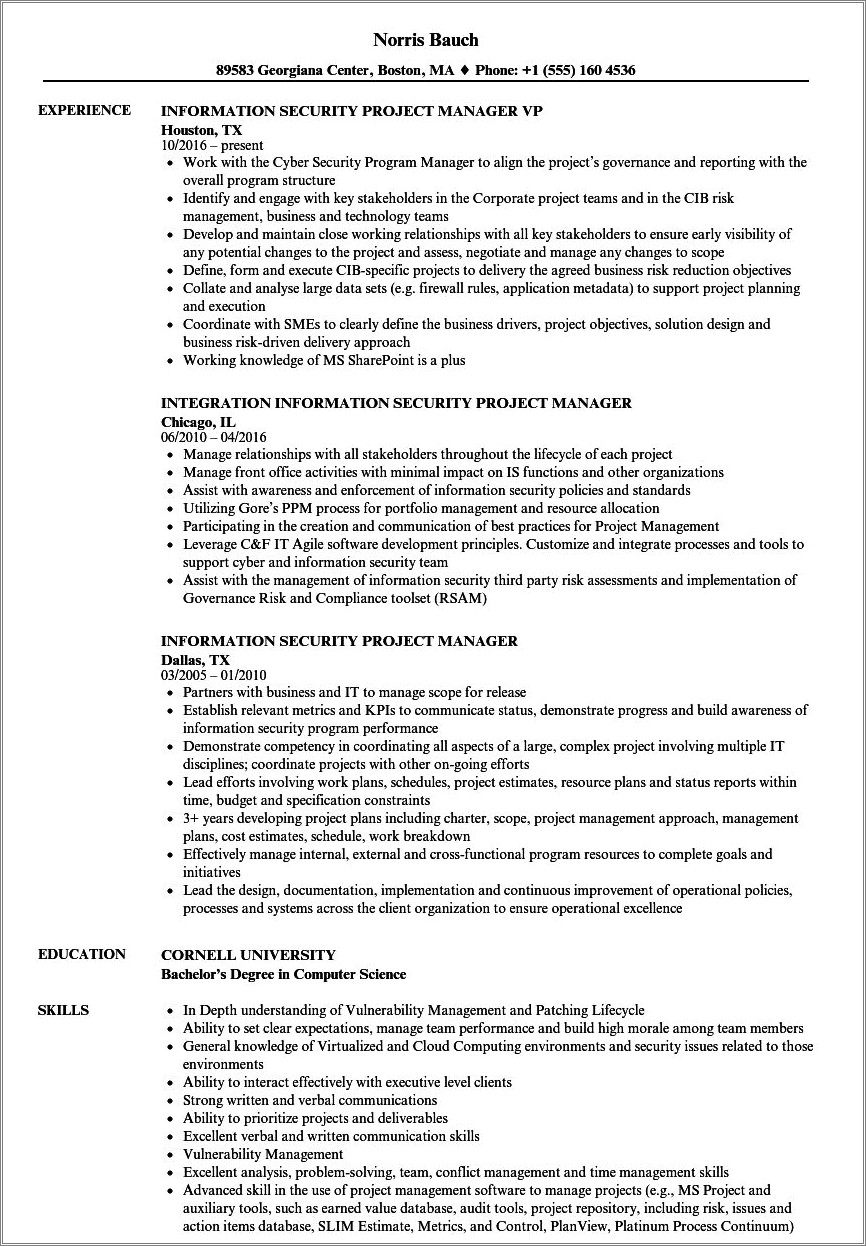 Security Tech Project Management Resume Examples