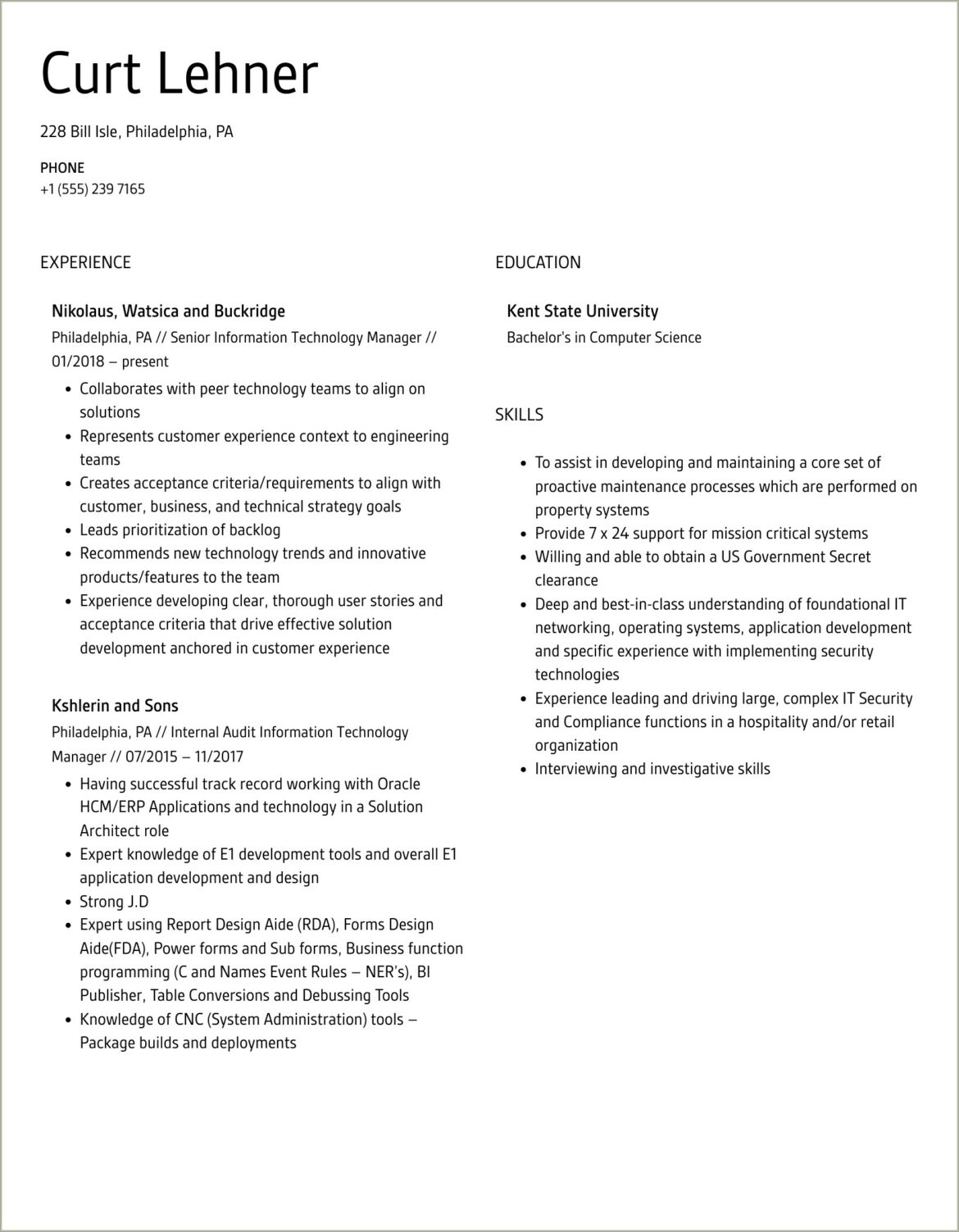 Senior Information Technology Manager Resume Sample