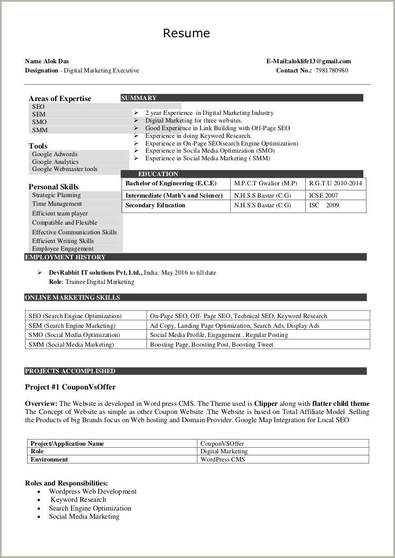 Seo Resume For 2 Year Experience