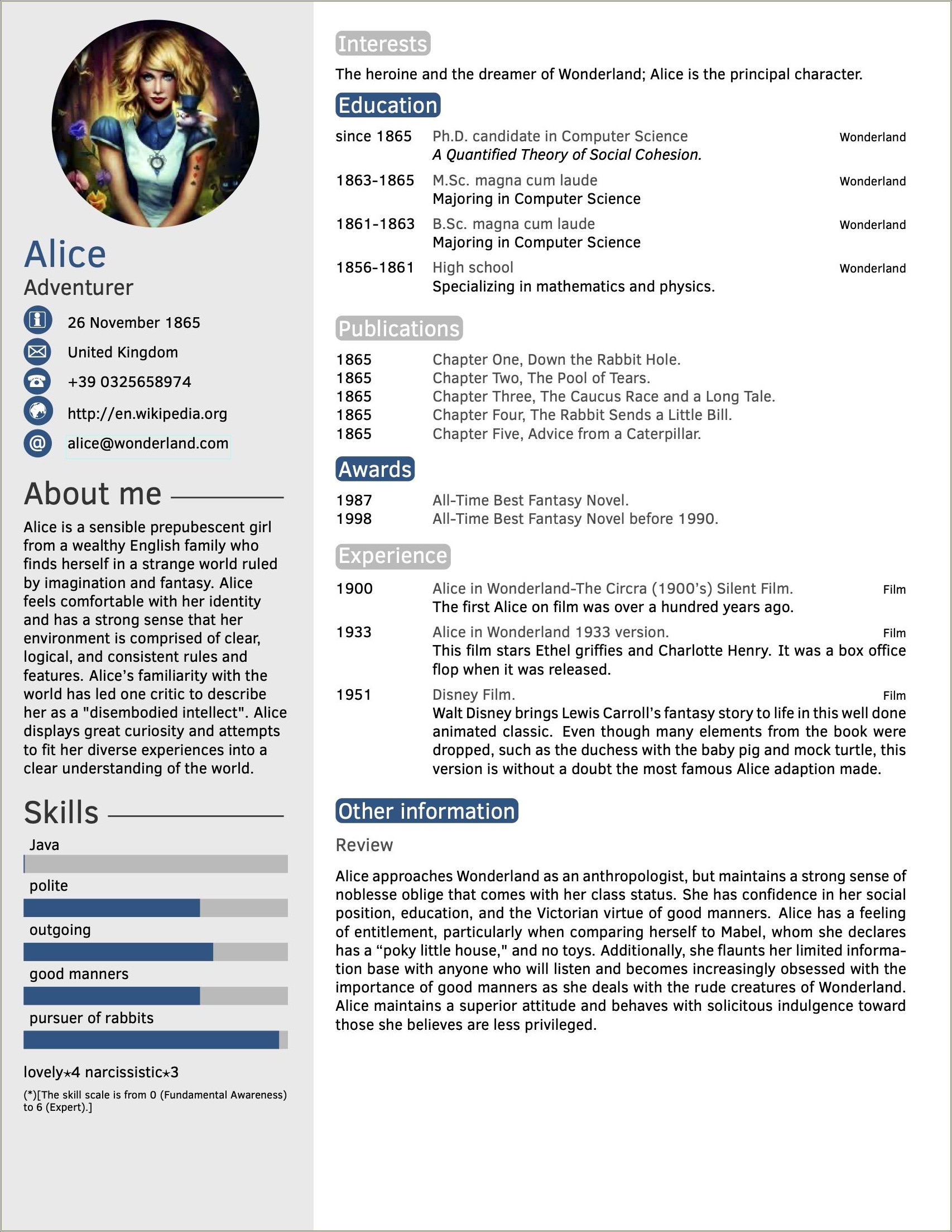 Simple Resume Cv Template Mini Portfolio