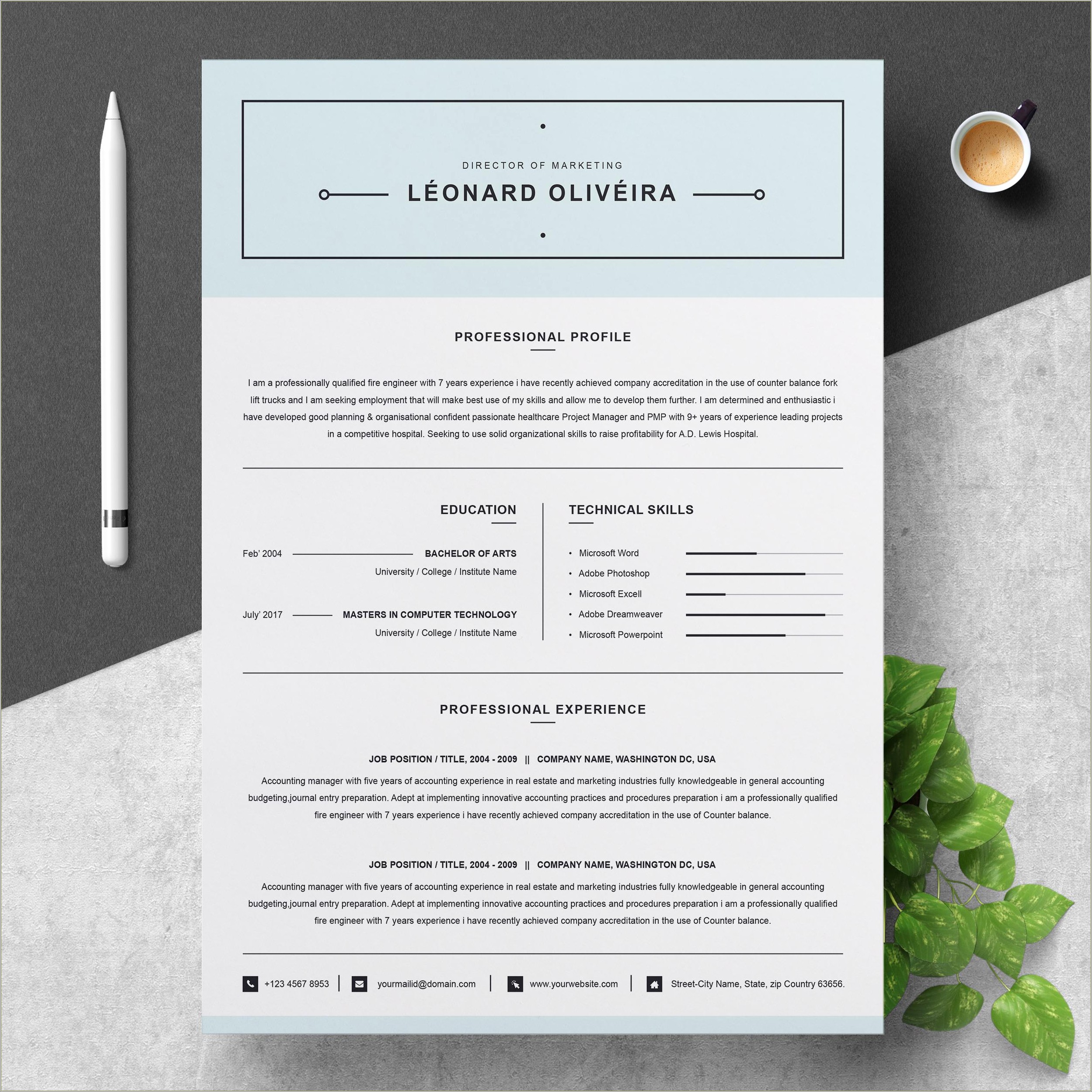 Simple Resume Format In Word Free