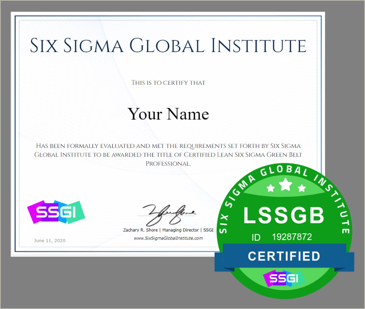 Six Sigma Green Belt Resume Examples