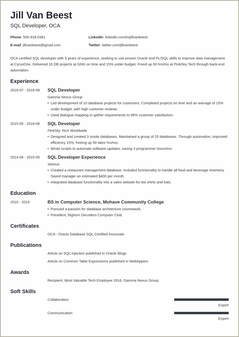 Skill Set Table For Bi Developer In Resume