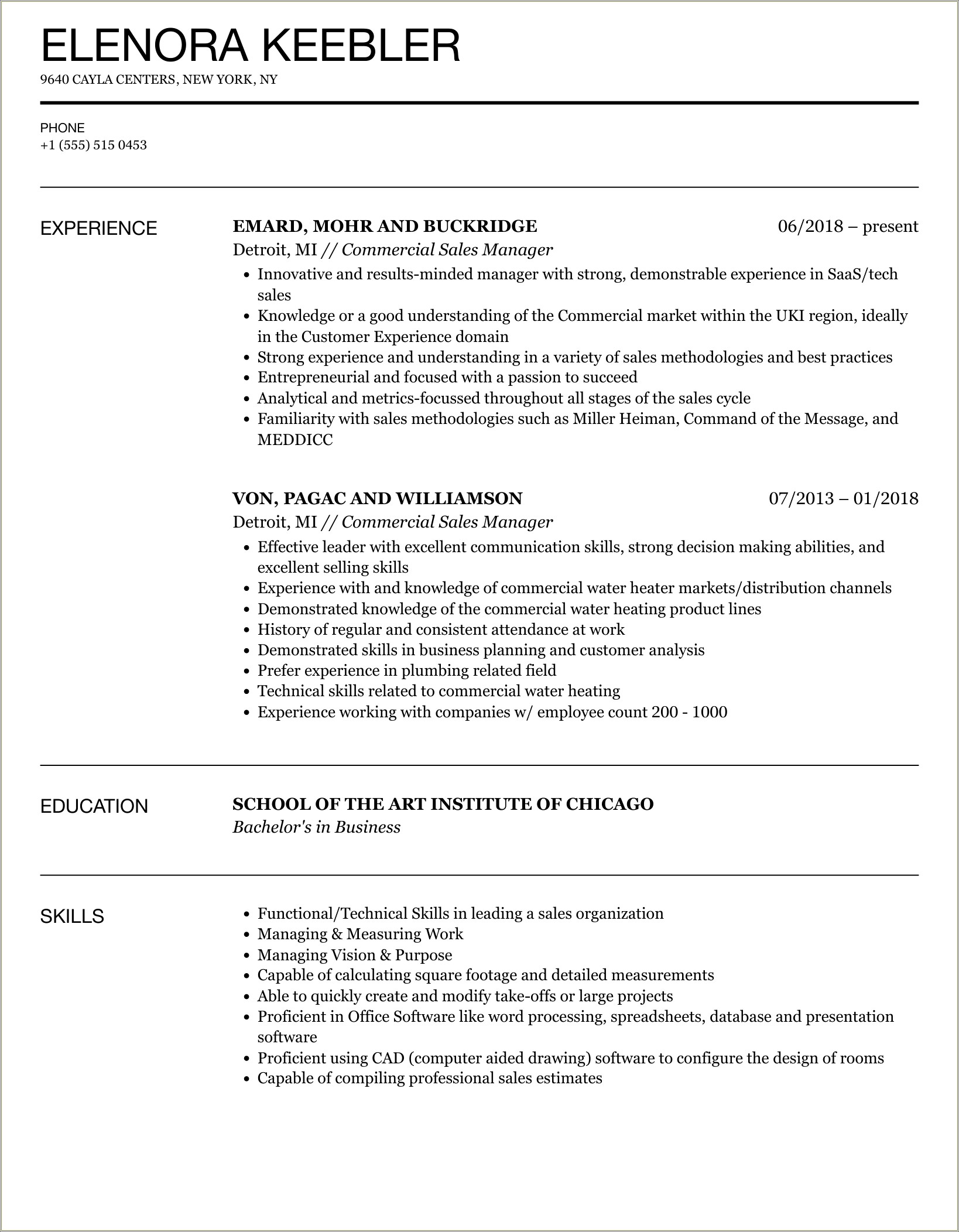 Skills For Director Of Sales On Resume