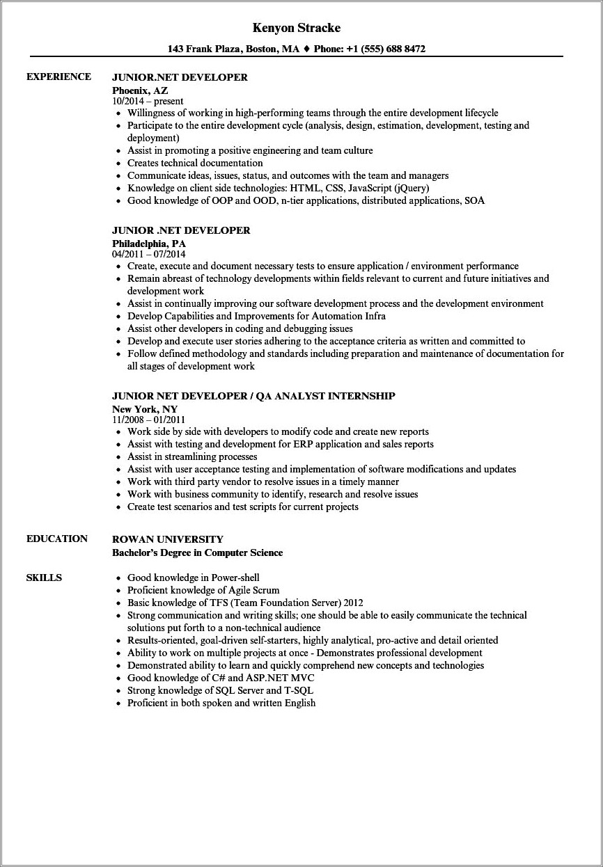 Skills In Resume For Junior Net Developer