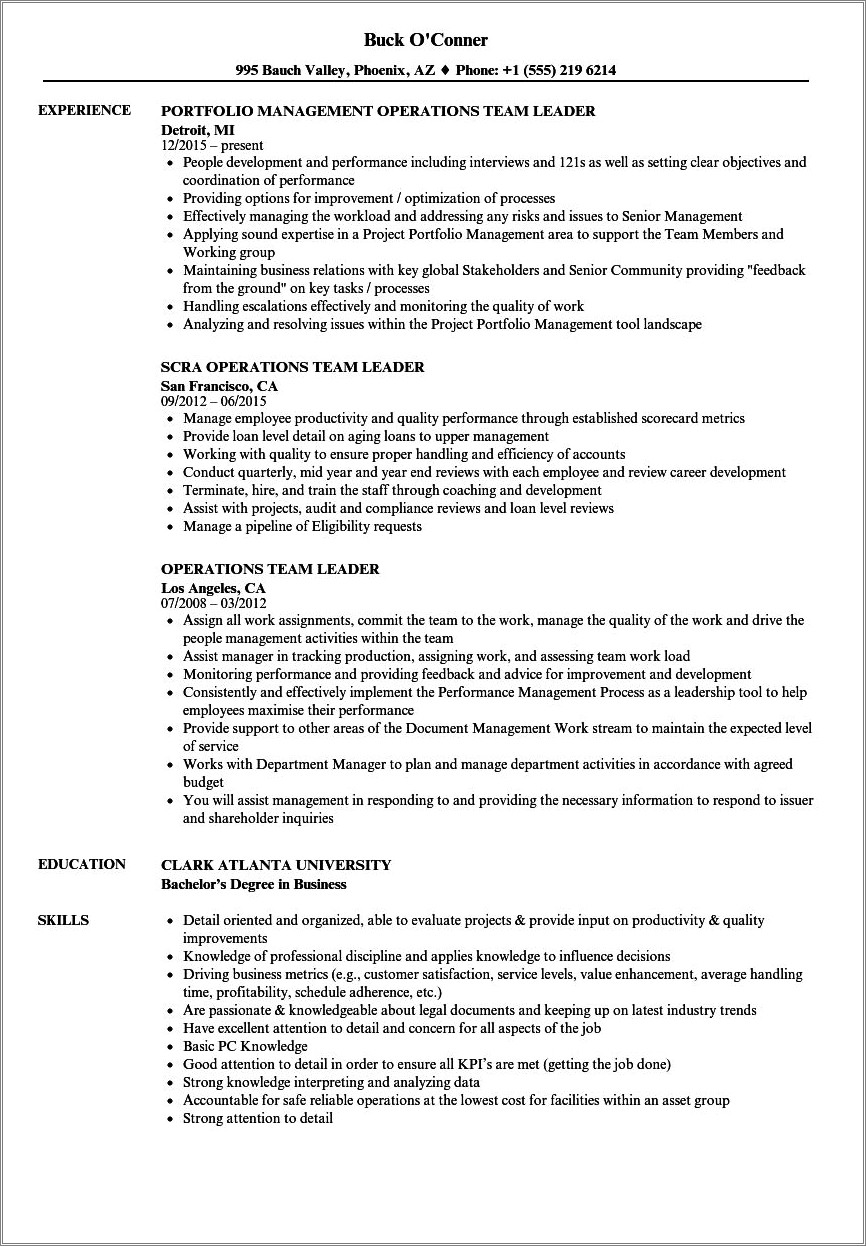 Skills Of A Team Lead Resume