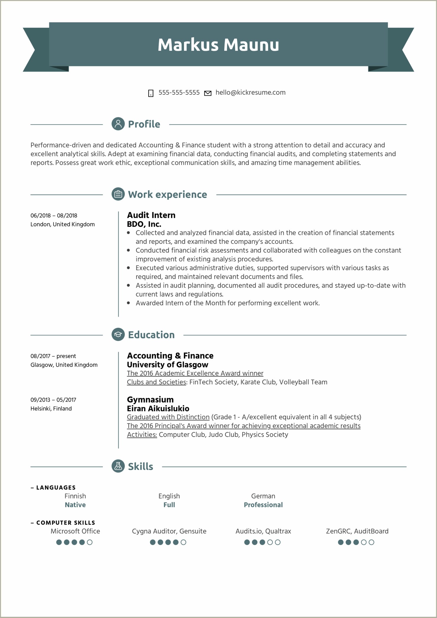 Skills Of Public Auditor For Resume