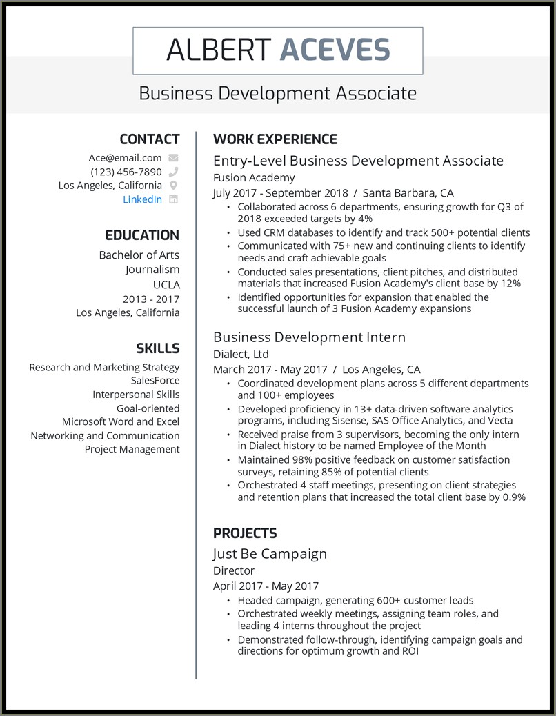 Skills Of Sales Business Development Manager Resume