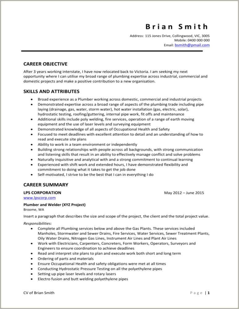 Skills Summary As A Plumber For A Resume