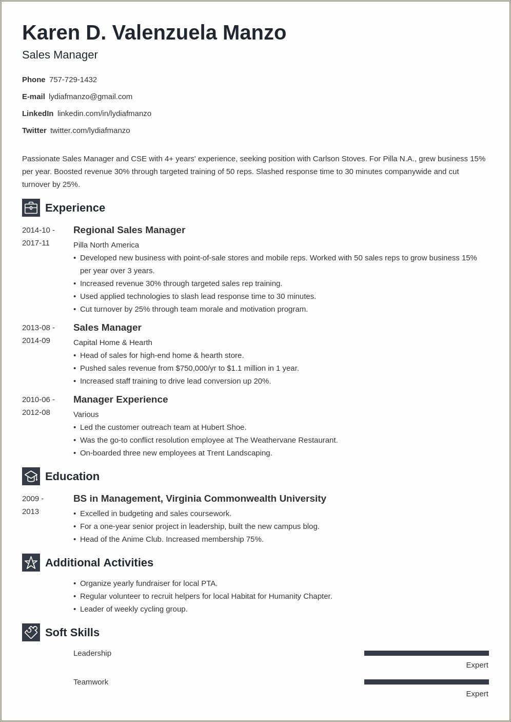 Skills Summary For Director Position Resume