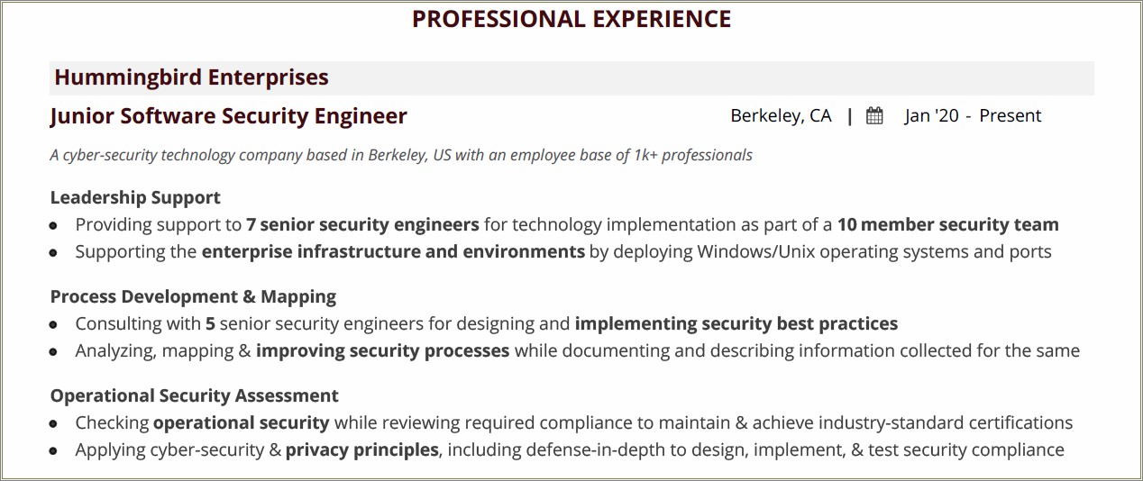 Soc Tier 1 Analyst Resume Examples