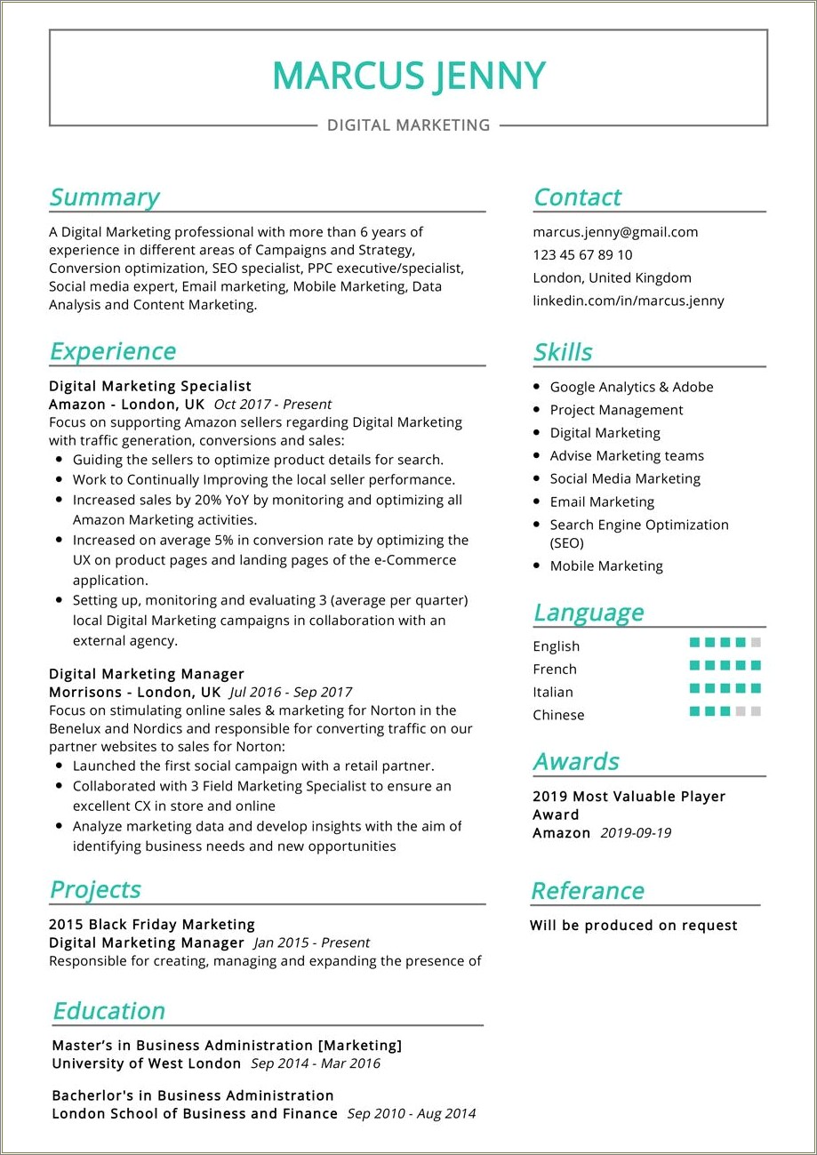 Social Media Marketing Manager Resume Example