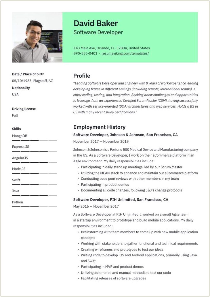 Software Developer Resume Format Word Free Download