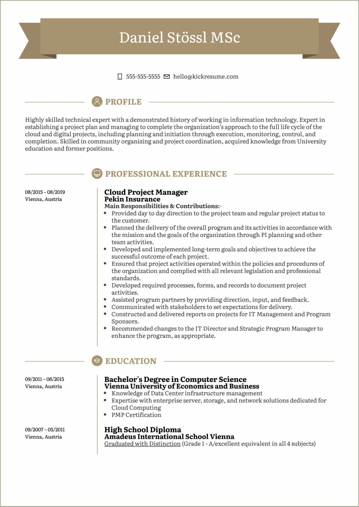 Software Development Project Manager Resume Sample