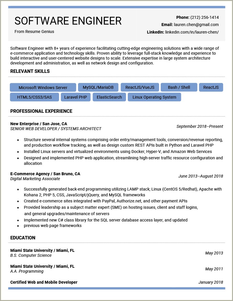 Software Engineer Professional Resume Summary Statement