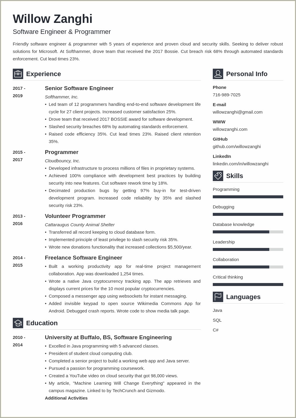 Software Engineer Student Professional Resume Summary Statement