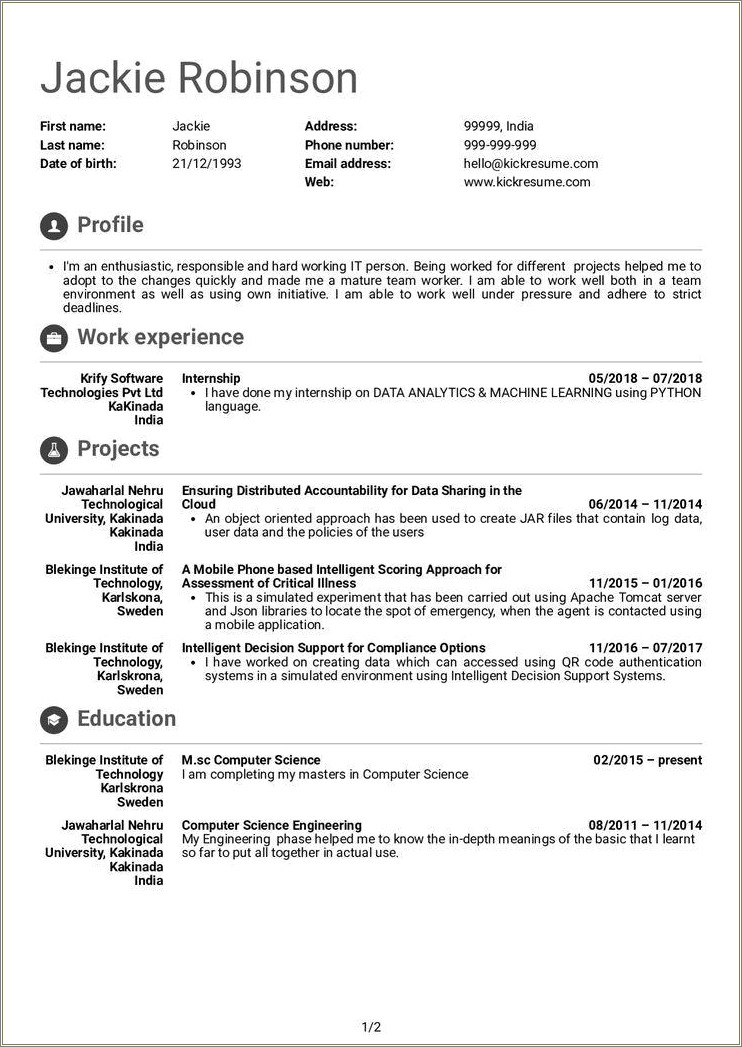 Software Enguneer Summary Points For Resume