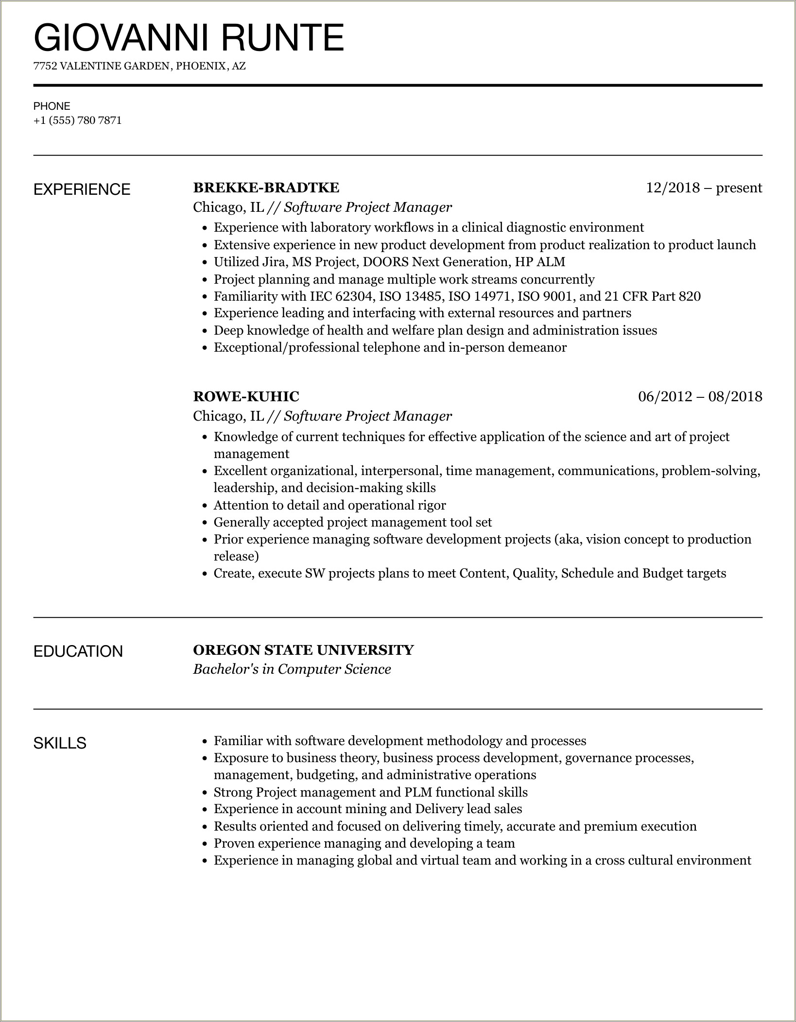 Software Project Manager Professional Skills Resume