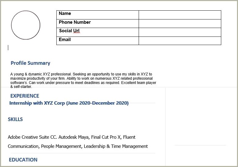 Software Skills In Resume For Fresher