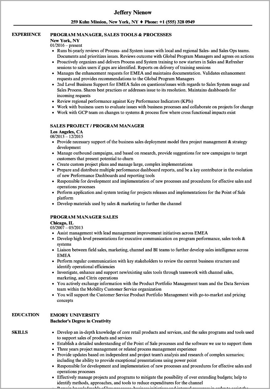 Sprint Sales Experienced Rep Resume Example