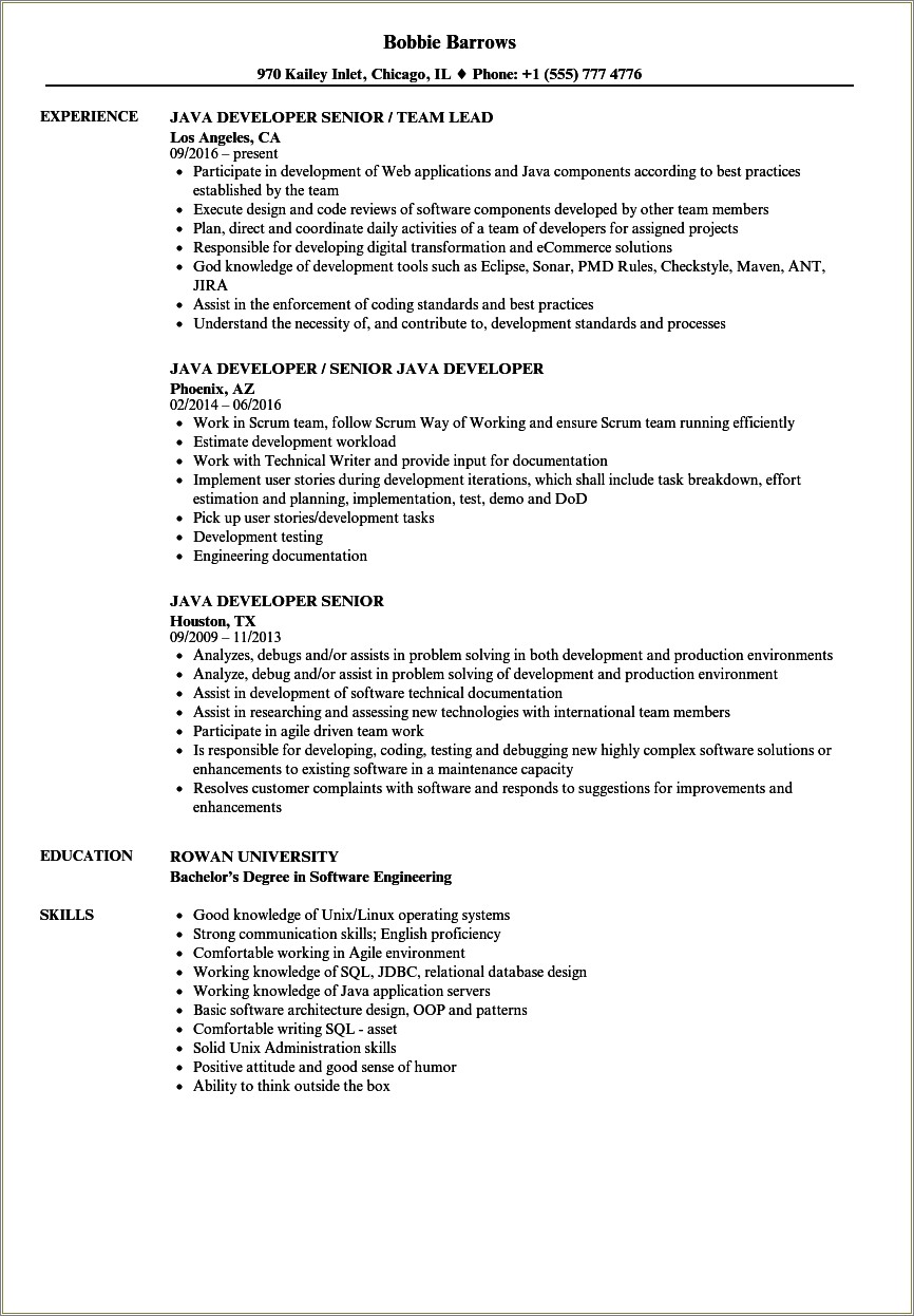 Sql Developer Resume With Agile And Waterfall Experience