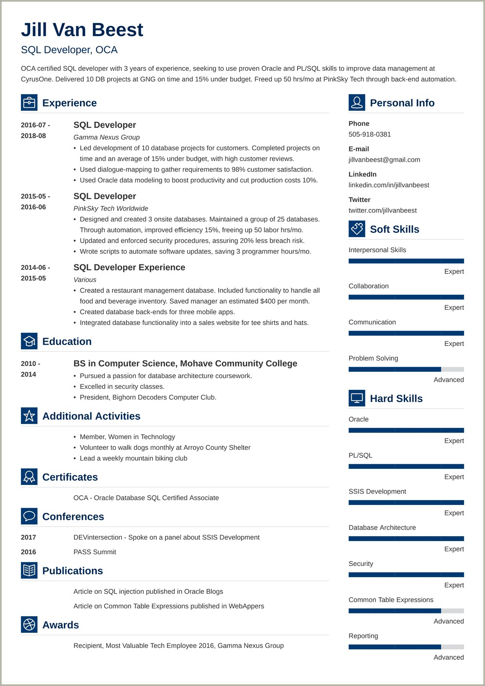 Sql Developer Resume With Data Conversion Experience