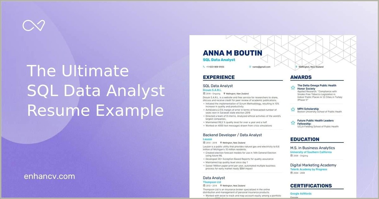 Sql Server Experience Data Resume Example
