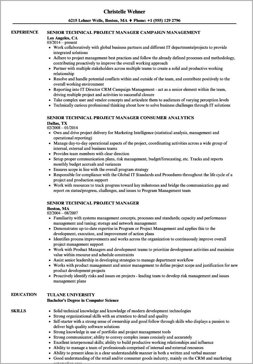 Sr It Project Manager Resume Technology