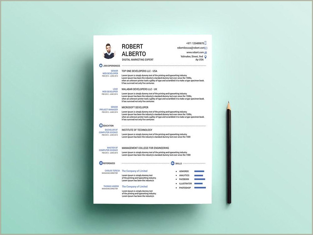 Standard Resume Format For Engineers Free Download