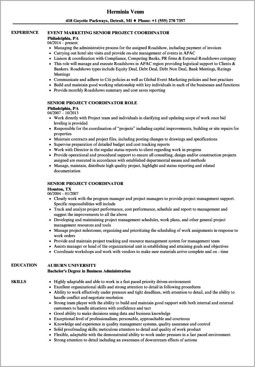 Stong Resume Summary For Project Cordinator