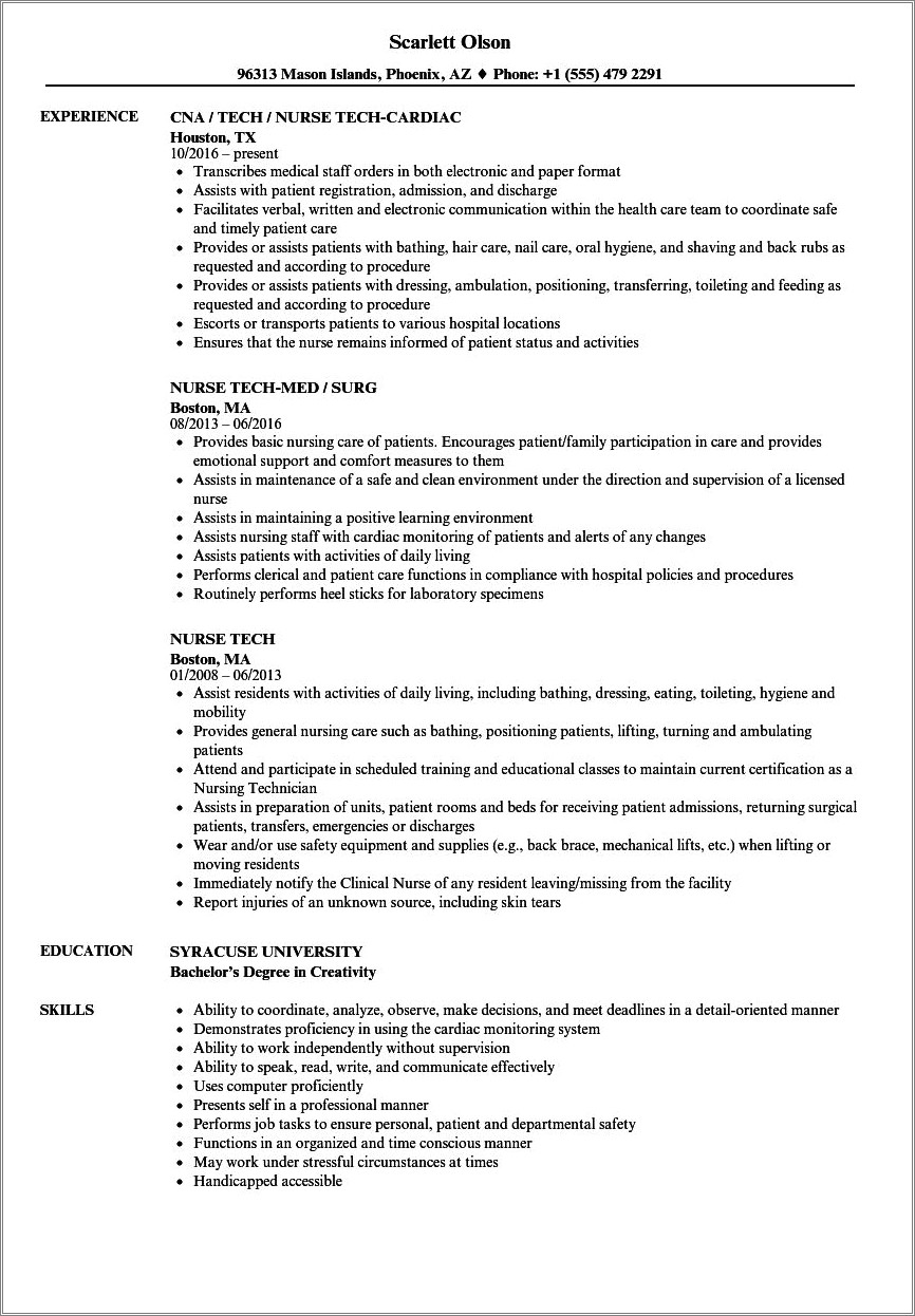 Student Technician Resume For On Campus Job