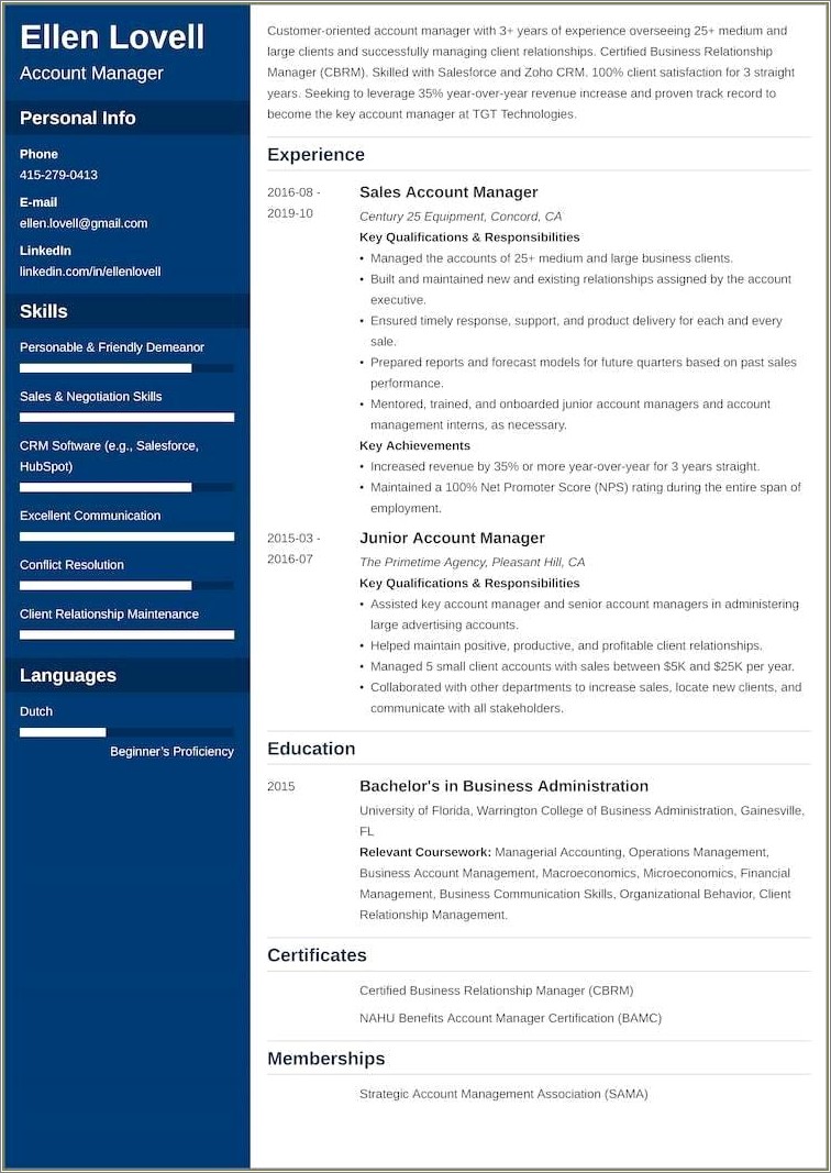 Summary Example For Account Executive Resume