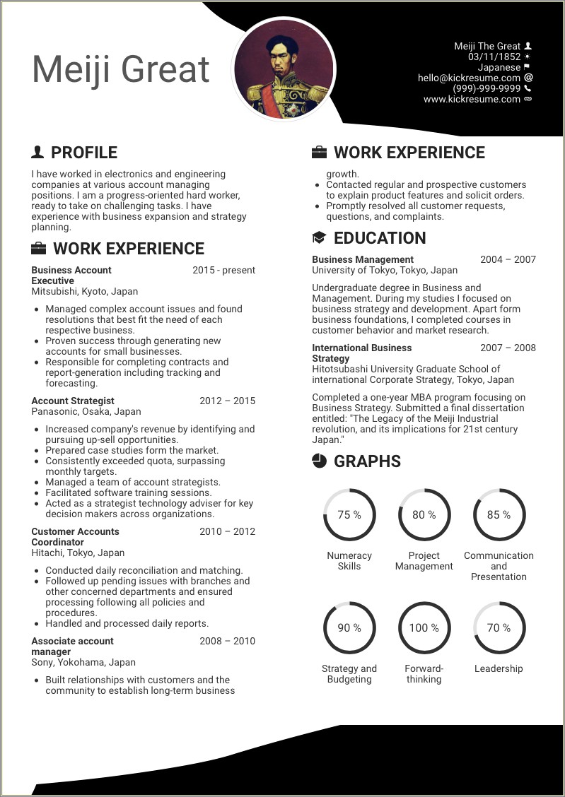 Summary Examples For Account Executive Resume