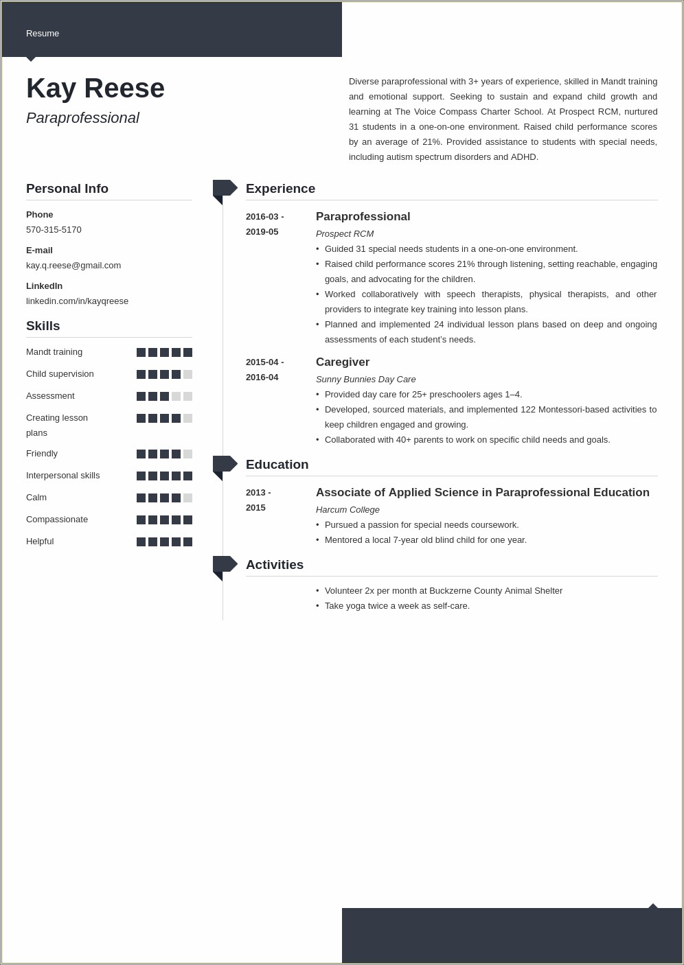 Summary For A Paraprofessional On Resume