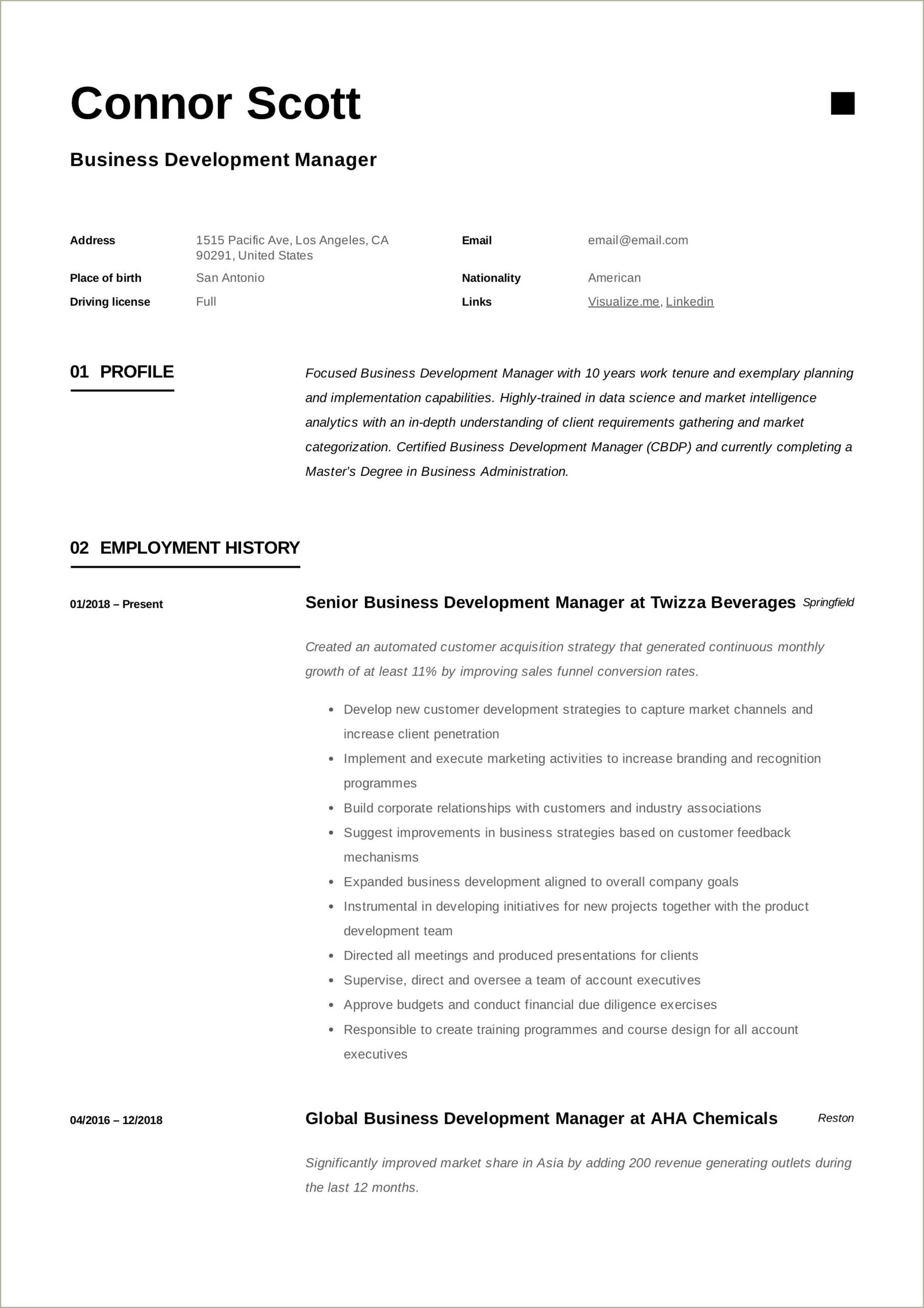 Summary For Business Development Executive Resume