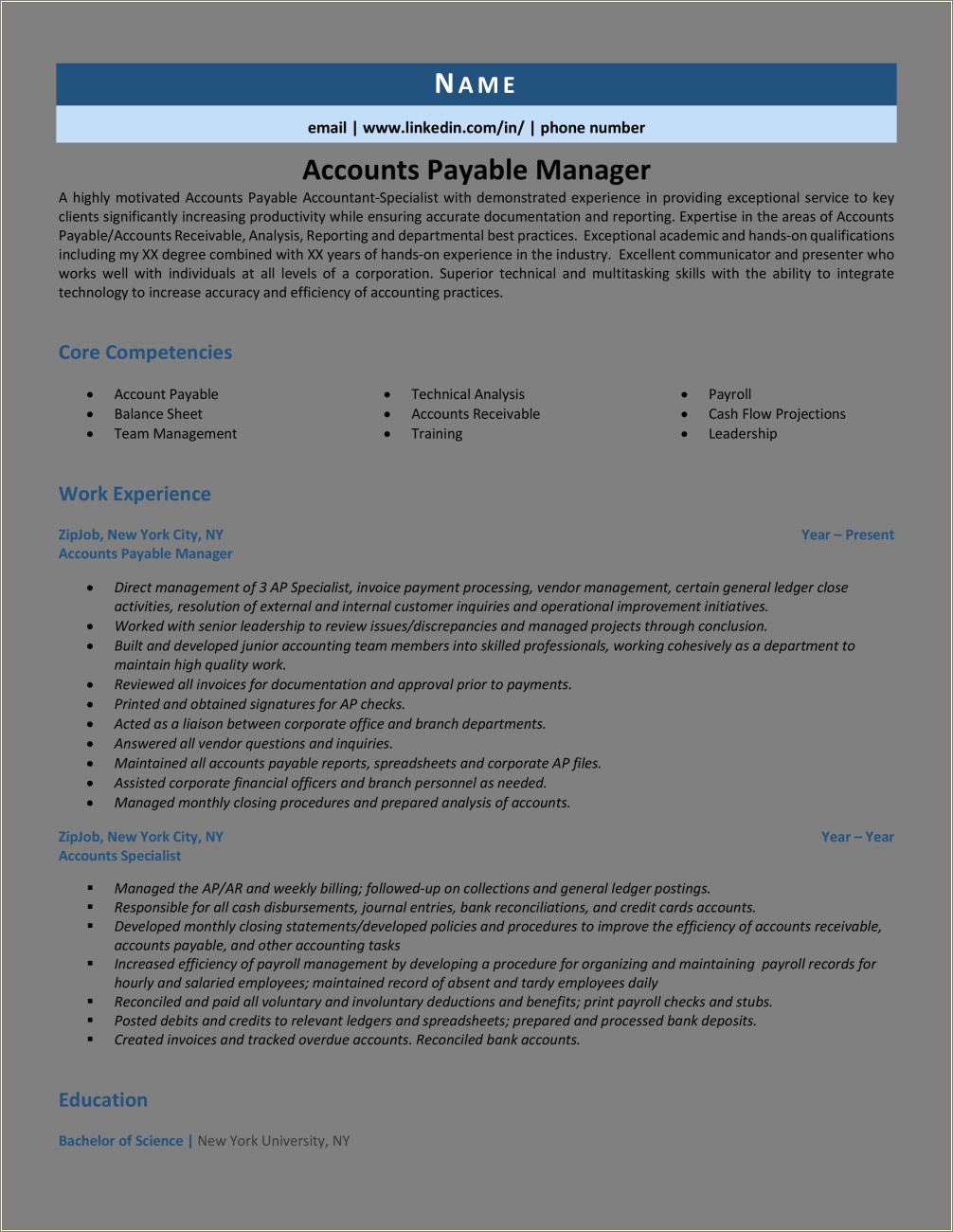 Summary For Resume Account Manager Example