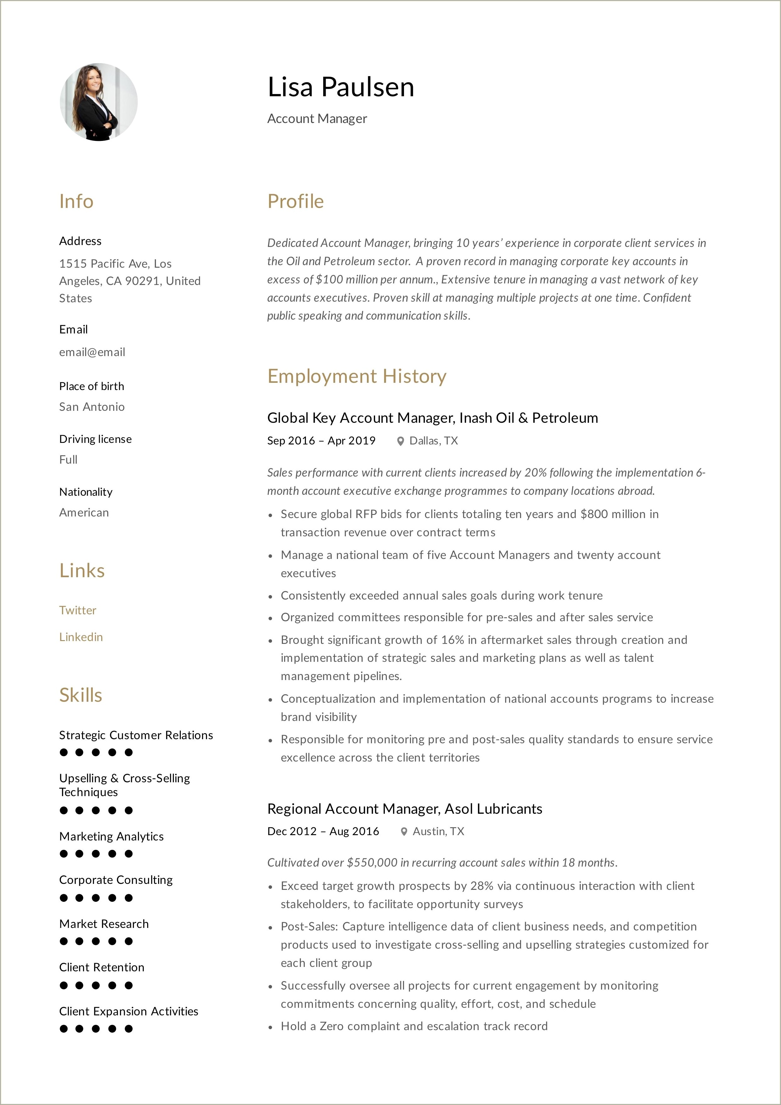 Summary For Resume Account Sales Manager Example